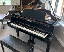 Yamaha C2 grand with SILENT feature